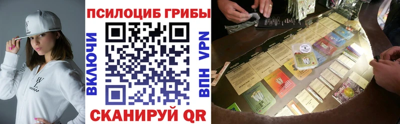 Псилоцибиновые грибы Psilocybe  дарнет шоп  Грайворон 